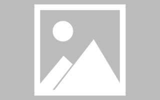 凤城编制网站建设（编制网站建设包括哪些）